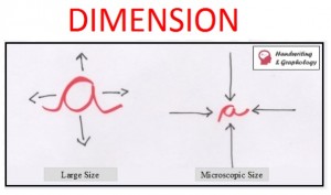 Graphology Handwriting Analysis: Dimension Size and Width